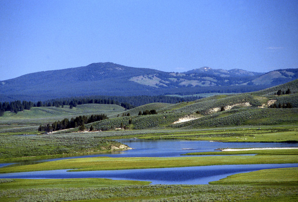 Montana